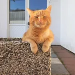 Rüßmann