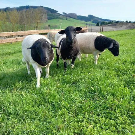 Séjour à la campagne Ruessmann