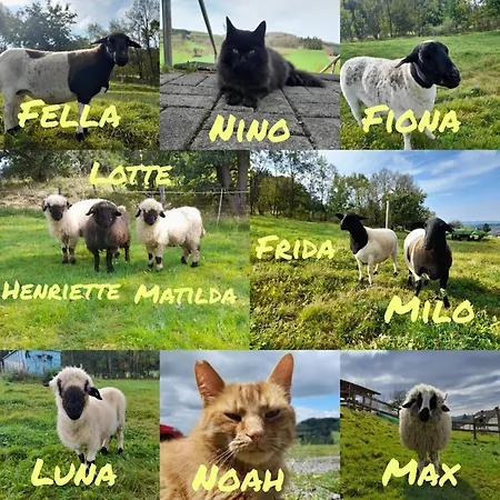 Ruessmann Casa de Campo