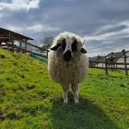Casa de Campo Ruessmann