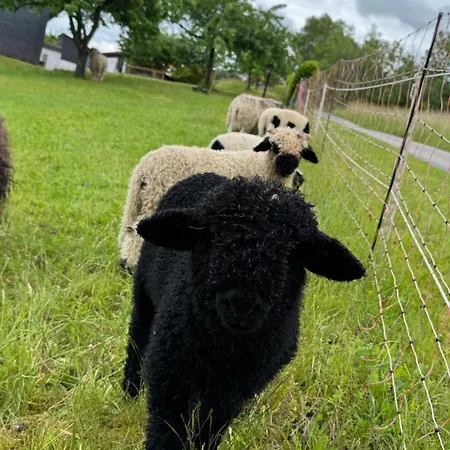 Casa de Campo Ruessmann Lennestadt