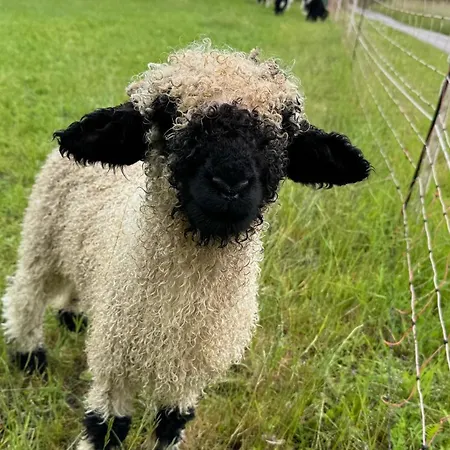 Ruessmann * Lennestadt