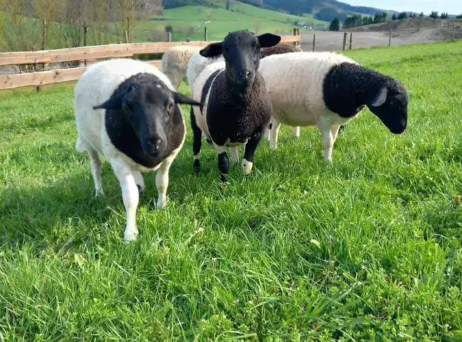 Gospodarstwo wiejskie Ruessmann