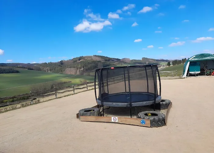 Ruessmann 乡村民宿 *