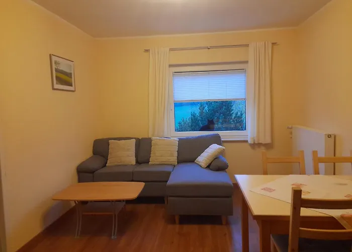 乡村民宿 Ruessmann *