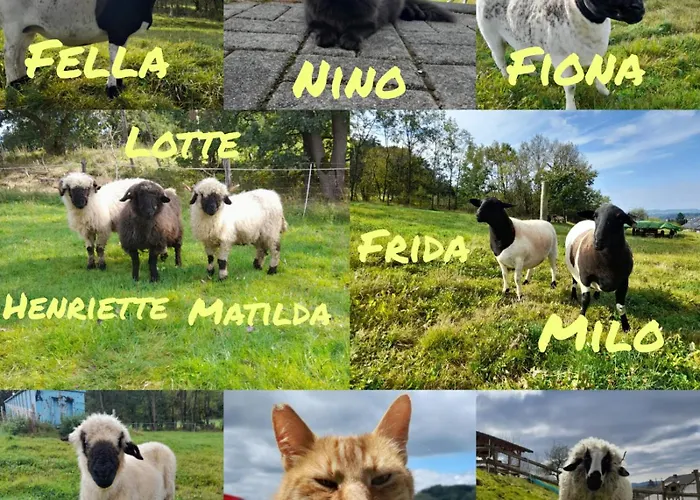 Ruessmann 乡村民宿