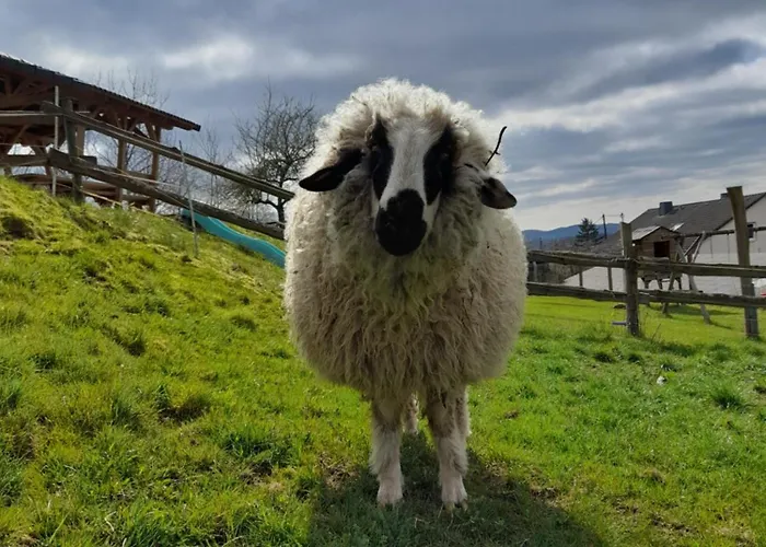 Gospodarstwo wiejskie Ruessmann