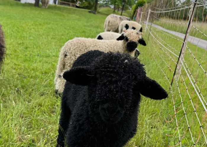 乡村民宿 Ruessmann 伦讷施塔特