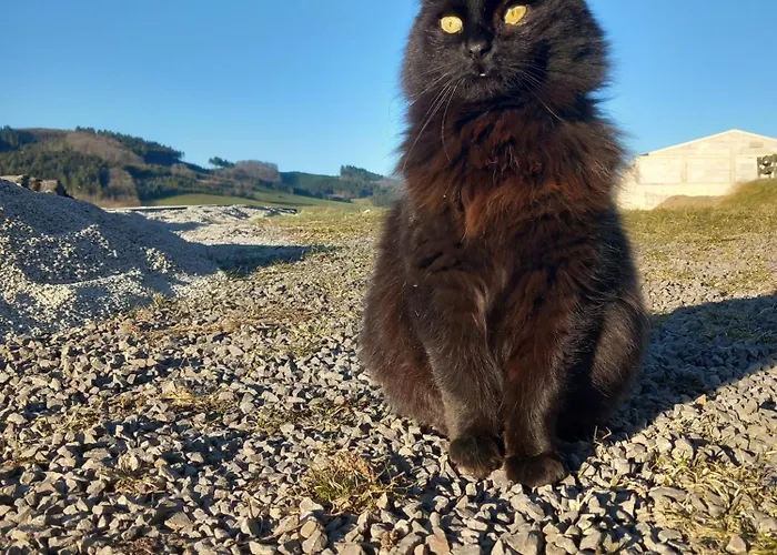 乡村民宿 Ruessmann